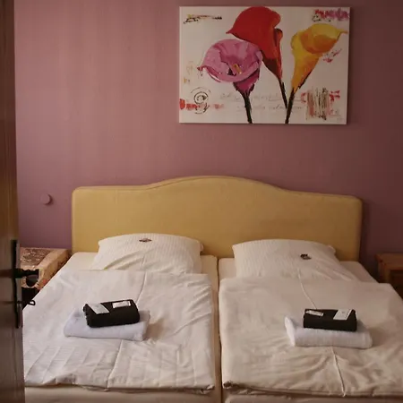 阿尔蔡瑞比兰德加斯托酒店 2*